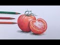Tomatoes drawing  in color pencils | realistic tomato drawing | faber castell polychromos