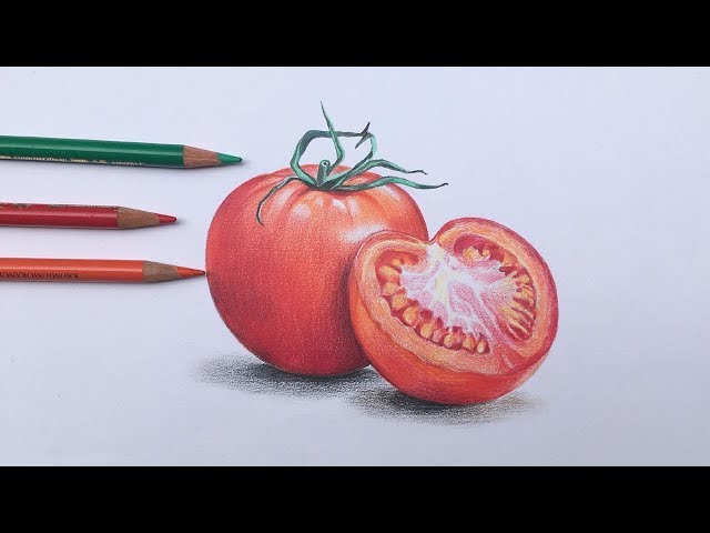 Tomato tomatoes drawing illustration помидоры иллюстрация  Vegetable  drawing Vegetable painting Colored pencil artwork