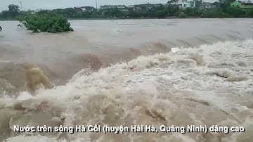 Quảng Ninh: Nước lũ dâng cao, một cửa khẩu ngừng hoạt động |Dân Việt TV