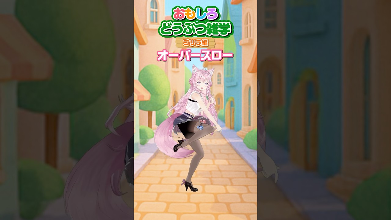 面白どうぶつ雑学～ゴリラ編🦍～ #shorts #動物 #動物雑学 #ホロライブ #hololive #博衣こより