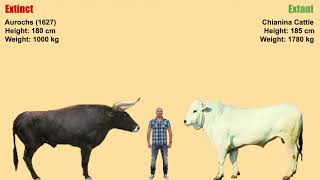 Extinct vs Extant Animals Size Comparison (Unmix 2) [Cooperation Megafauna]