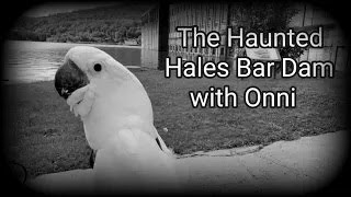 Onni Cockatoo At The Haunted Hales Bar Dam 2021 (full video)