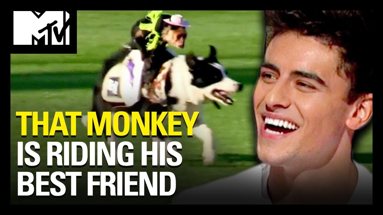 WOW! Even Pets Have Pets 😹 🐶 🐵 | Ridiculousness | MTV