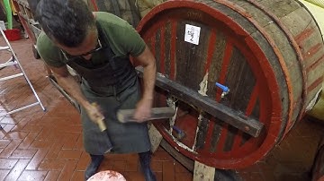 Opening up a 150 year old barrel with Danilo Marcucci
