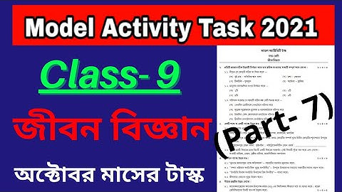 Model Activity Task Class 9 Life Science part 7 October