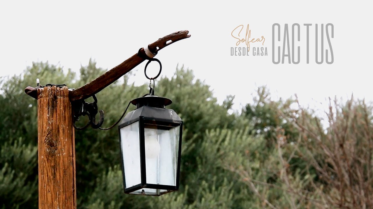 Solfear - Cactus