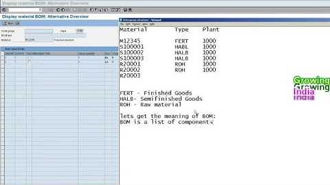 SAP PP Alternative BOM