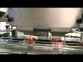 Linea de envasado de Tomate Cherry Bandejas Multiformato 65 bpm