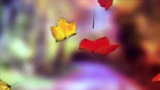 Ben Sana Bunun Için Gelmemiştim... Resimi