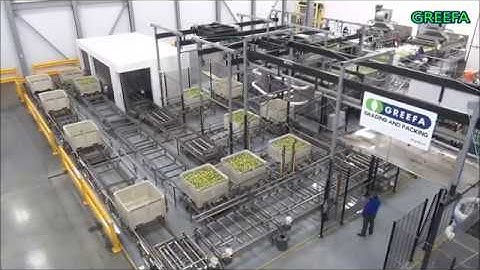 GREEFA Pears, Birnen, Pere  -  Mount Adams Fruit, USA