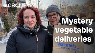 Why mysterious vegetables have been showing up, unordered, on some Ottawans' doorsteps Information
