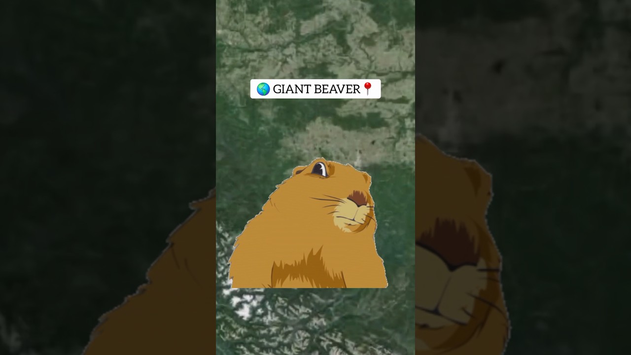 😲 Giant Beaver📍on Google Maps and Google Earth 🌎 