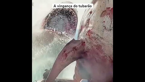A VINGANÇA DO TUBARÃO GIGANTE #shorts