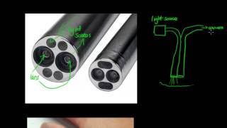 How Does an Endoscope Work? - GCSE Physics