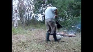 Ягдтерьер Даша-Нет Ума Его Не Вставишь.