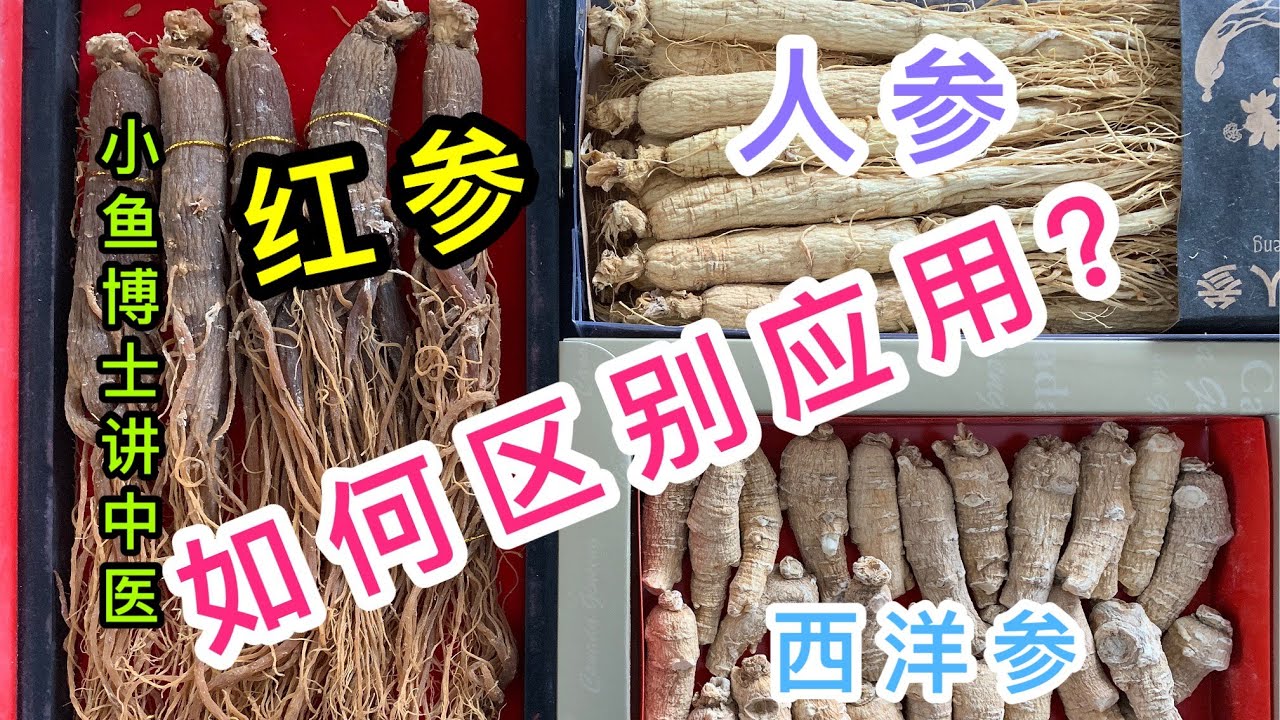 11 人参 红参 高丽参 西洋参和党参如何区别使用 Differences Among Ginseng Red Ginseng America Ginseng And Codonopsis Youtube