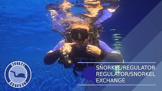 How to Do the Snorkel to Regulator Exchange (Scuba Diving Skills) 🤿 PADI Divemaster Skills