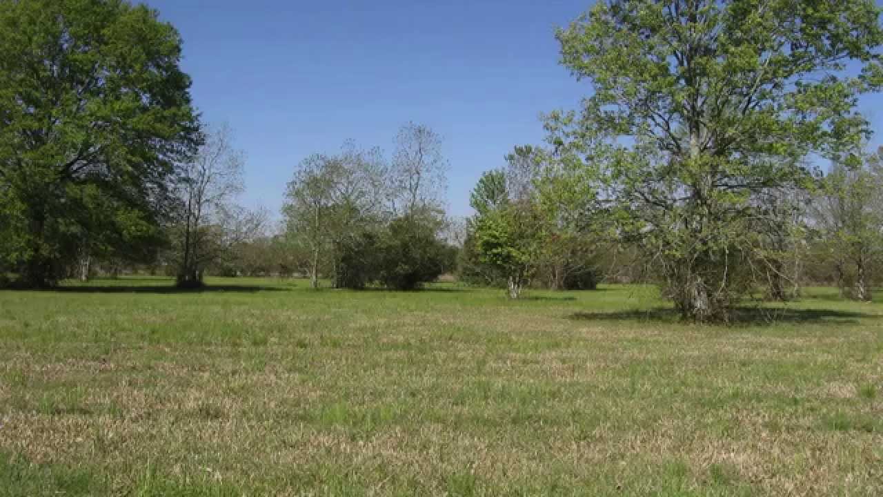 21102 Turkey Creek, Baton Rouge, LA 70817 YouTube