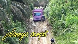 si pink main gasruk lagi di jalan licin