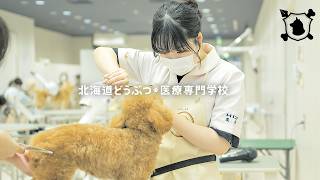 どうぶつ未来学科トリマー専攻(2年制)｜北海道どうぶつ・医療専門学校