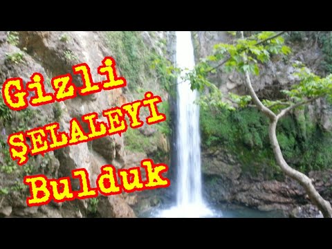 Gezelim Görelim 1