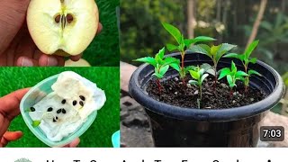 XXL XXL XXL XXL FREESTYLE 2024/ XXL 2025💕 /Xxwd500xa/XXL XXL XXL XXL Freestyle