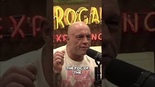 Joe Rogan &amp; Steve Jobs Podcast Never Happened? #shorts