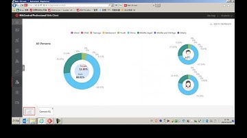 How to Generate Person Feature Analysis Report on HikCentral Pro V1 6