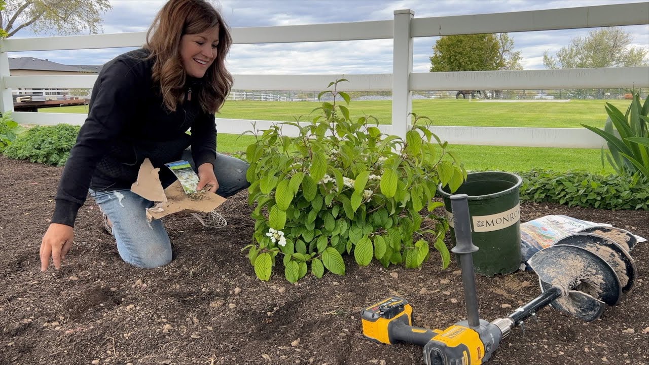 Сажаю 2 вечнозелёных растения и 2 калины! 🌲🌿💚 // Garden Answer