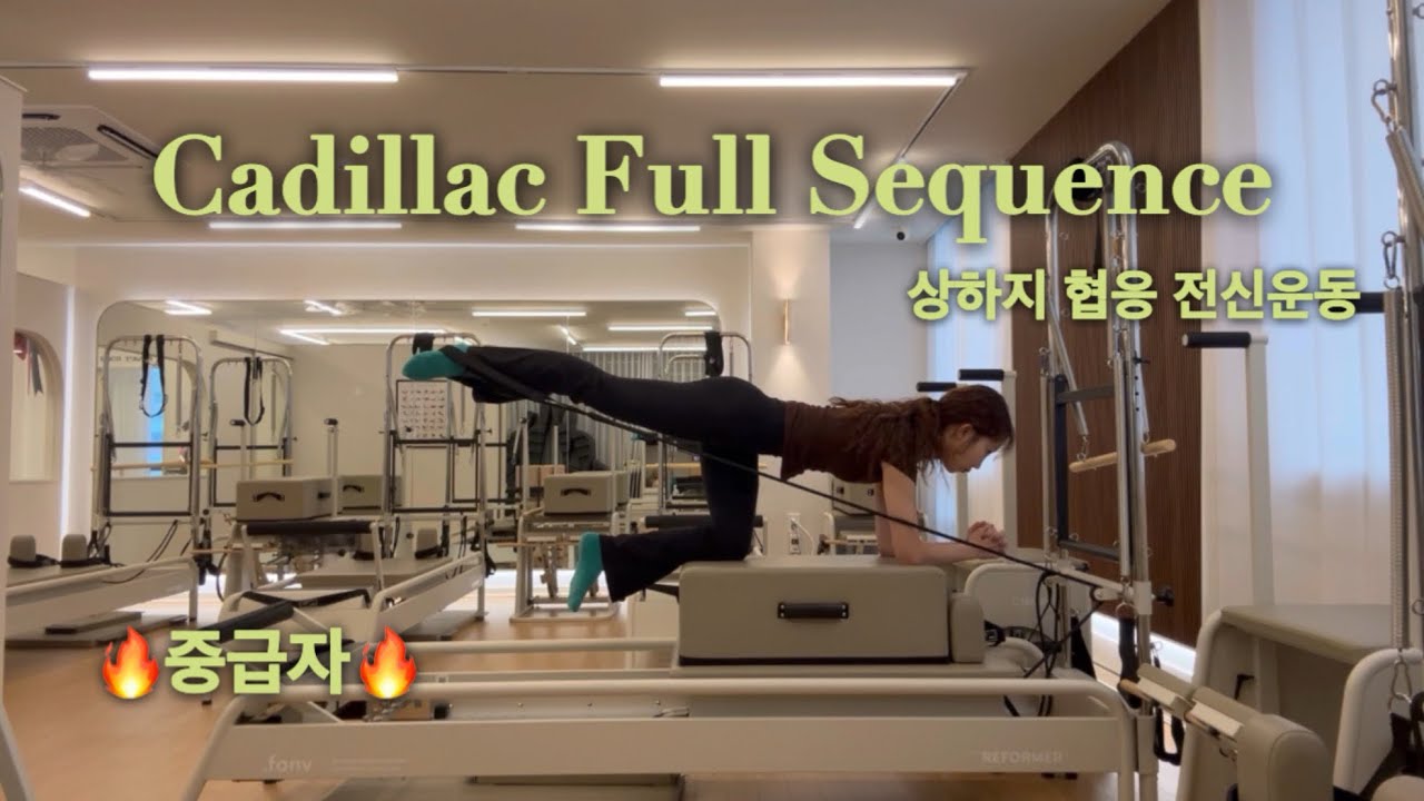 리포머 시퀀스 : 50분 2가지 플로우로 전신운동 끝내기 🔥 중급자 🔥