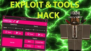 Roblox Exploit Razzberry & Tools Hack 2018