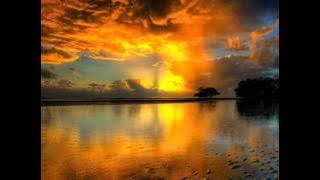 Feint & Fiction - The Catch