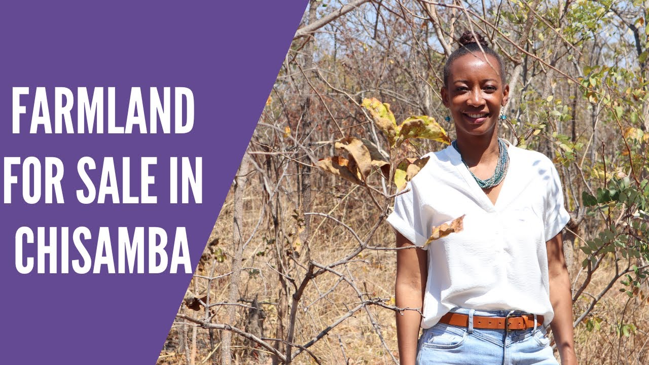 Chisamba farm land FOR SALE YouTube