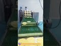 Auto Mini Spring Roll Grain Product Making Machines Chinese Spring Roll Sheet Pastry Machine