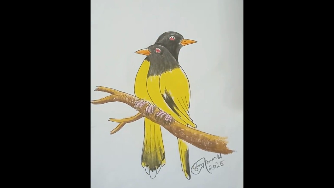 yellow birds (  হলুদ পাঁখি) 😂🤩