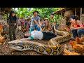72 Hours Survival: Giant Python Attacks Rural Chicken Farm as Brave Villagers Fight to Save Girl!