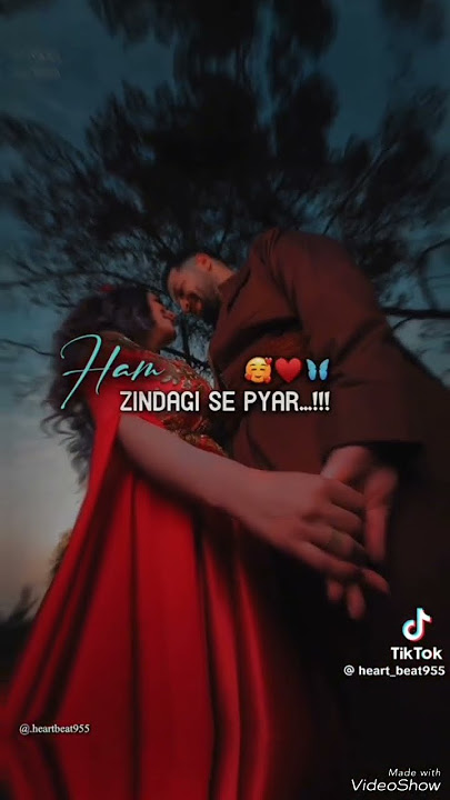 Tum Se Nigahen Chaar Karne Lage (Awaz Do Humko) Eagle Ultra Classic Jhankar Lyrical Status..........