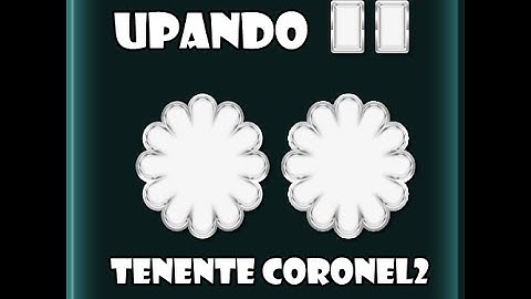 Point Blank - UPANDO PARA TENENTE CORONEL 2