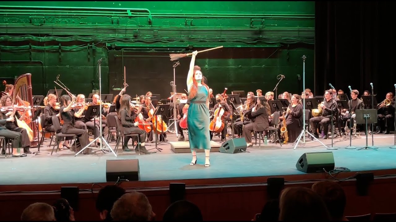 "Defying Gravity" from Wicked - Shay Sully