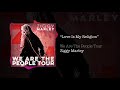 Love Is My Religion – Ziggy Marley live | We Are The People Tour, 2017