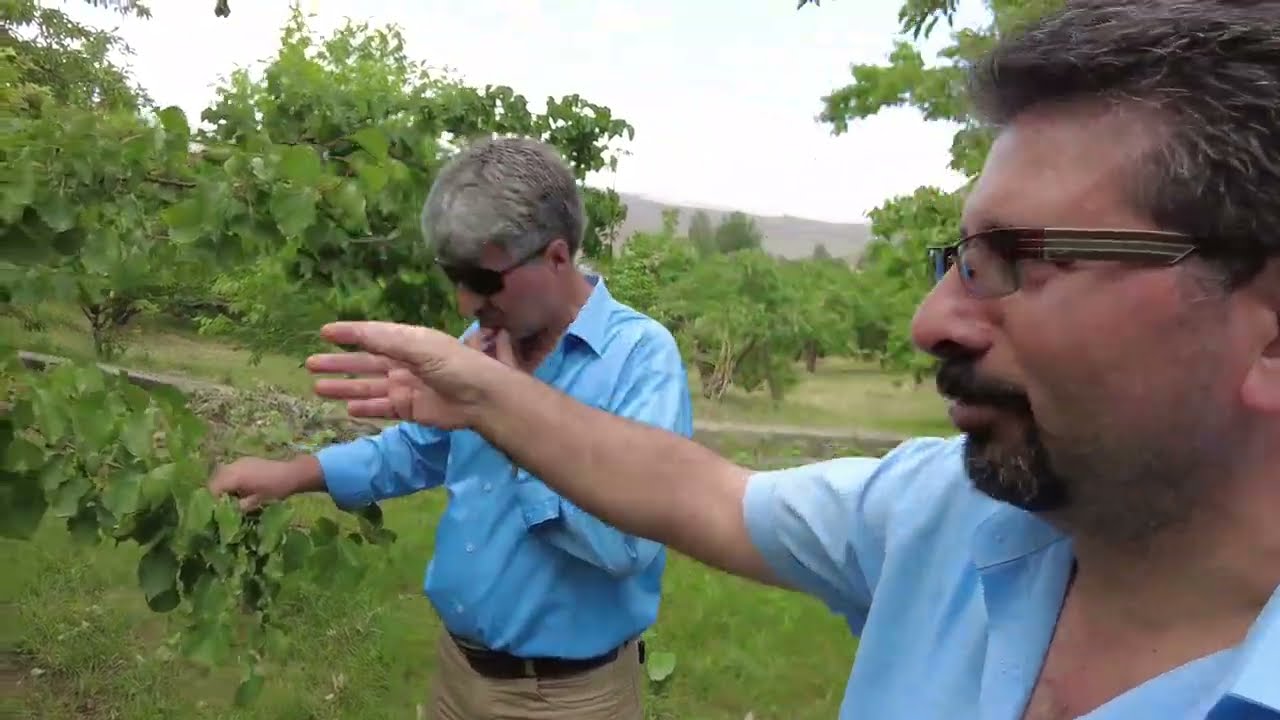 KAĞIZMAN -TUZLUCA KAYISISI