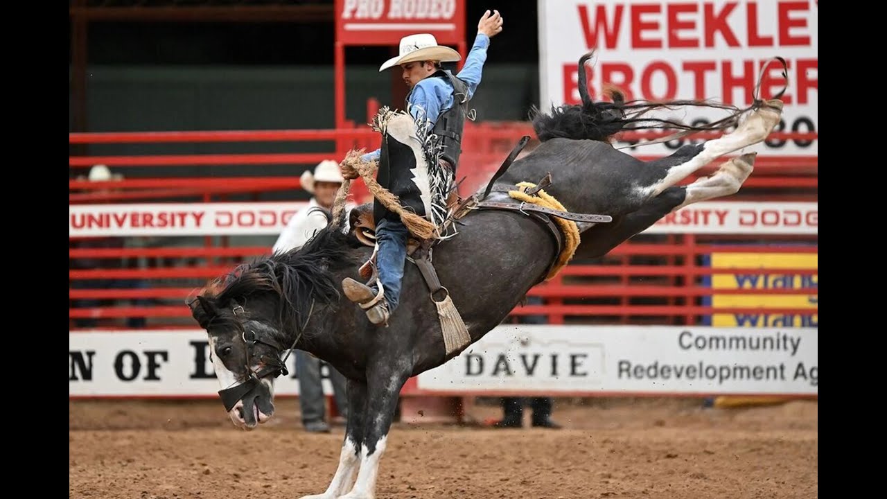 The Wildest Rodeo Rides Ever Caught on Camera COWBOY, Rodeo Americano ...
