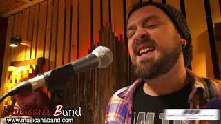 Musicana Band Youre The One That I Wantcover