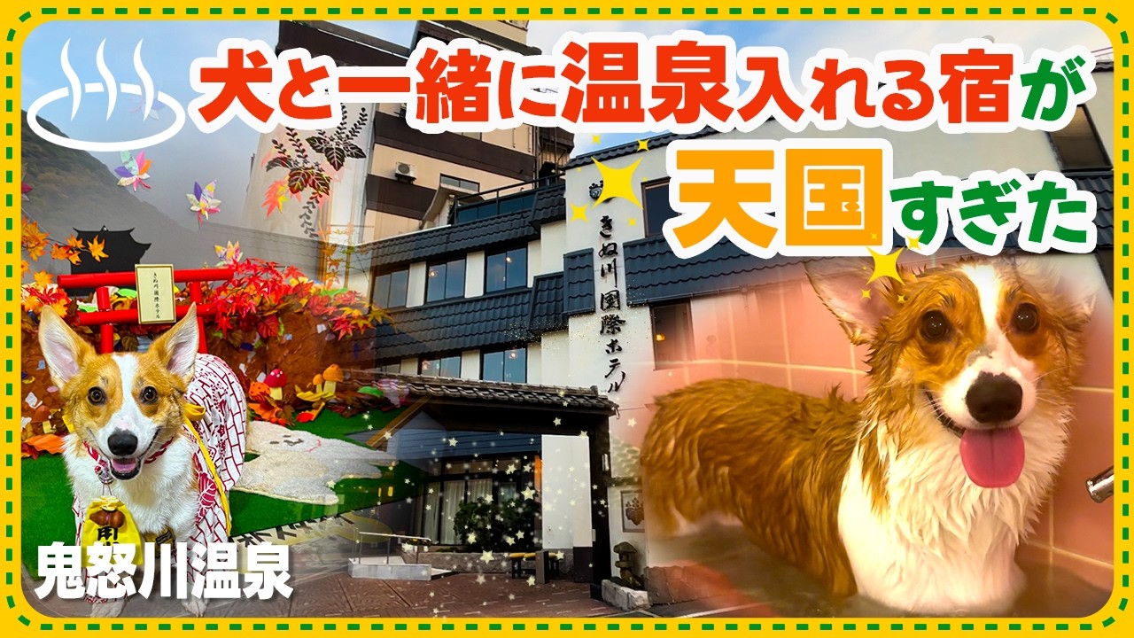 【犬と泊まれる栃木の宿】鬼怒川温泉に犬と一緒に入れるきぬ川国際ホテルが天国だった...!【猫・犬OK】
