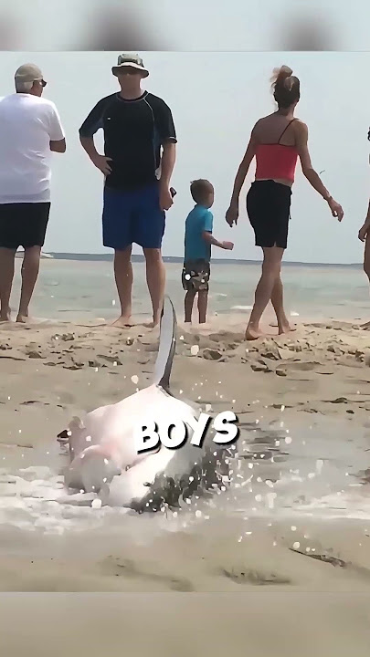 This great white shark was seeking help from tourists 🥹 #shorts
