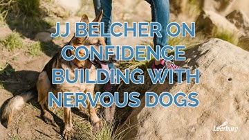 JJ Belcher on Confidence Building with Nervous Dogs