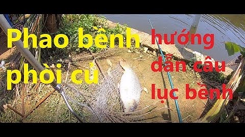 Hướng dẫn câu lục bềnh - cận cảnh quay phao câu lục bềnh - quá đã