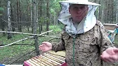 ПАСЕКА ВЛАДИМИРА РЯБУХИНА