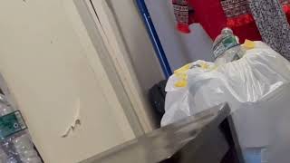 1196 e51 St Aug 17 2026(check description)