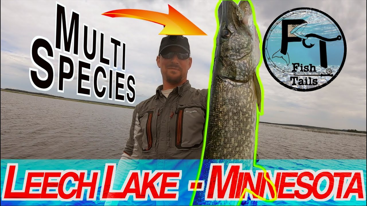Fishing Leech Lake, Minnesota (Big Musky, Bass, Walleye, Northern tips